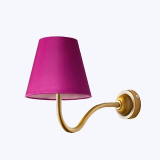 ip44 swan neck wall fitting in antique brass with 16cm empire shade in fuchsia dupion silk