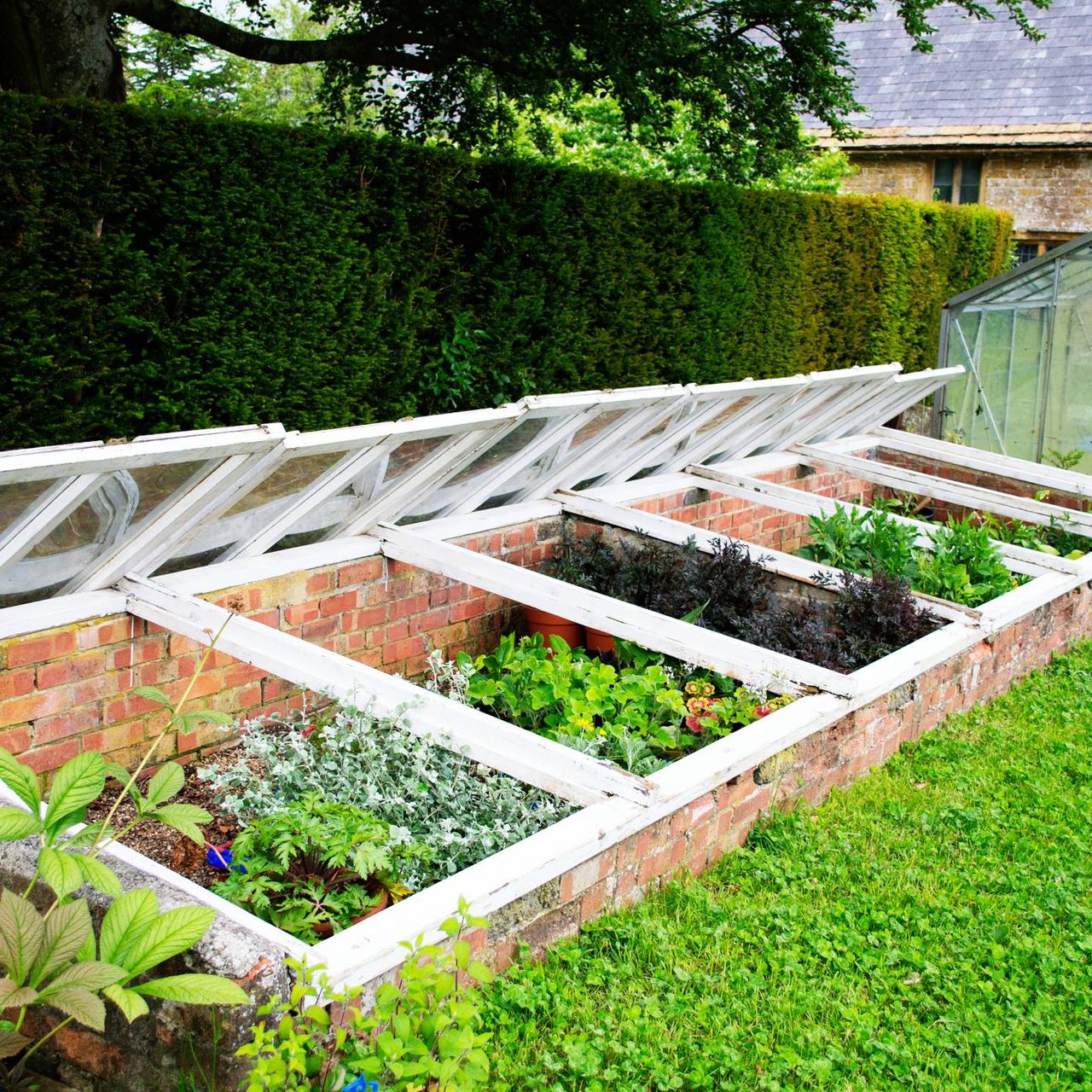 Open cold frames