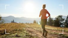 Woman running through nature with back to camera towards woodland area and sunshine, representing running meditation
