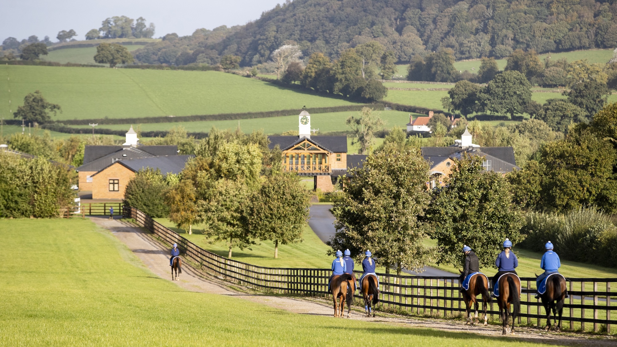 Horses returning from exercise at Michael Owen's Manor House Stables