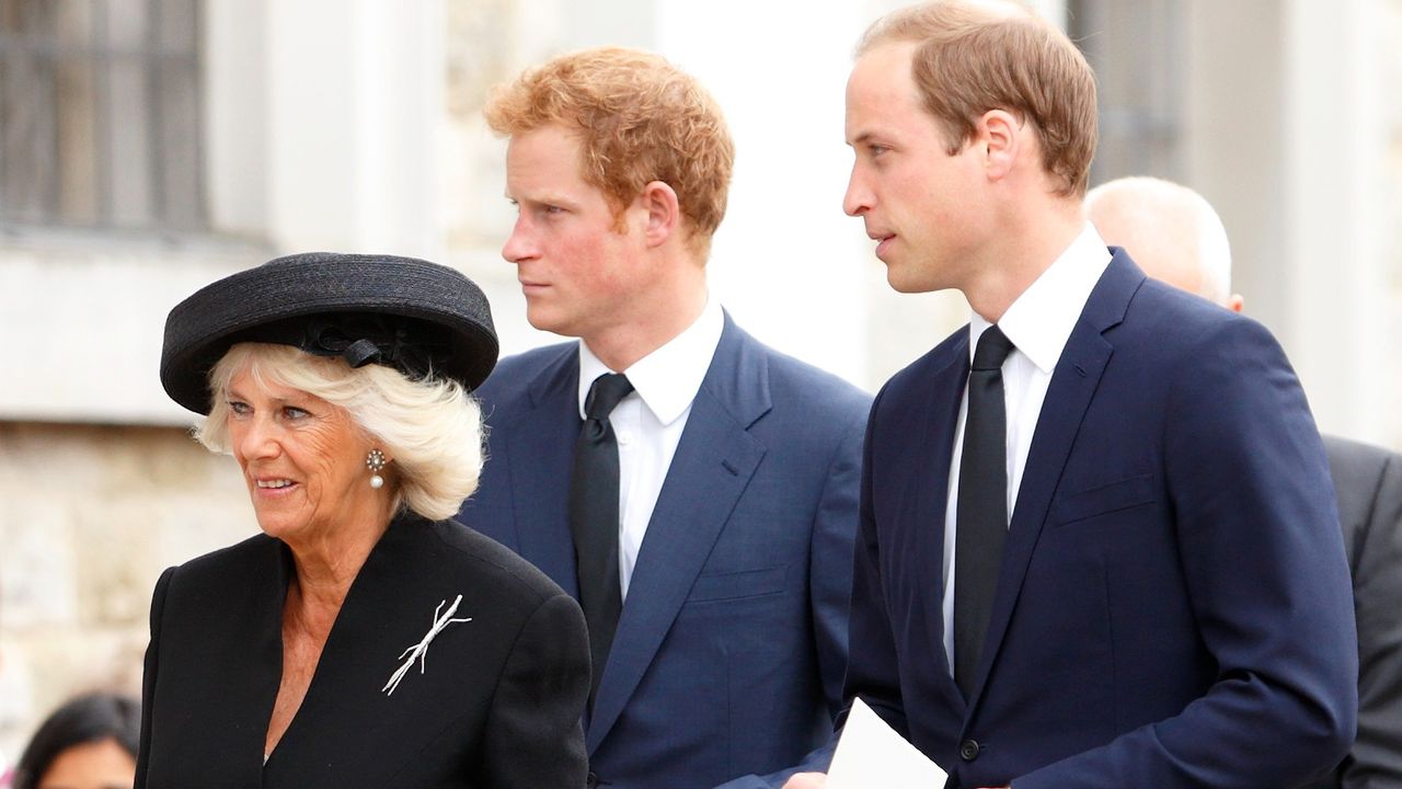 Queen Camilla, Prince William, and Prince Harry