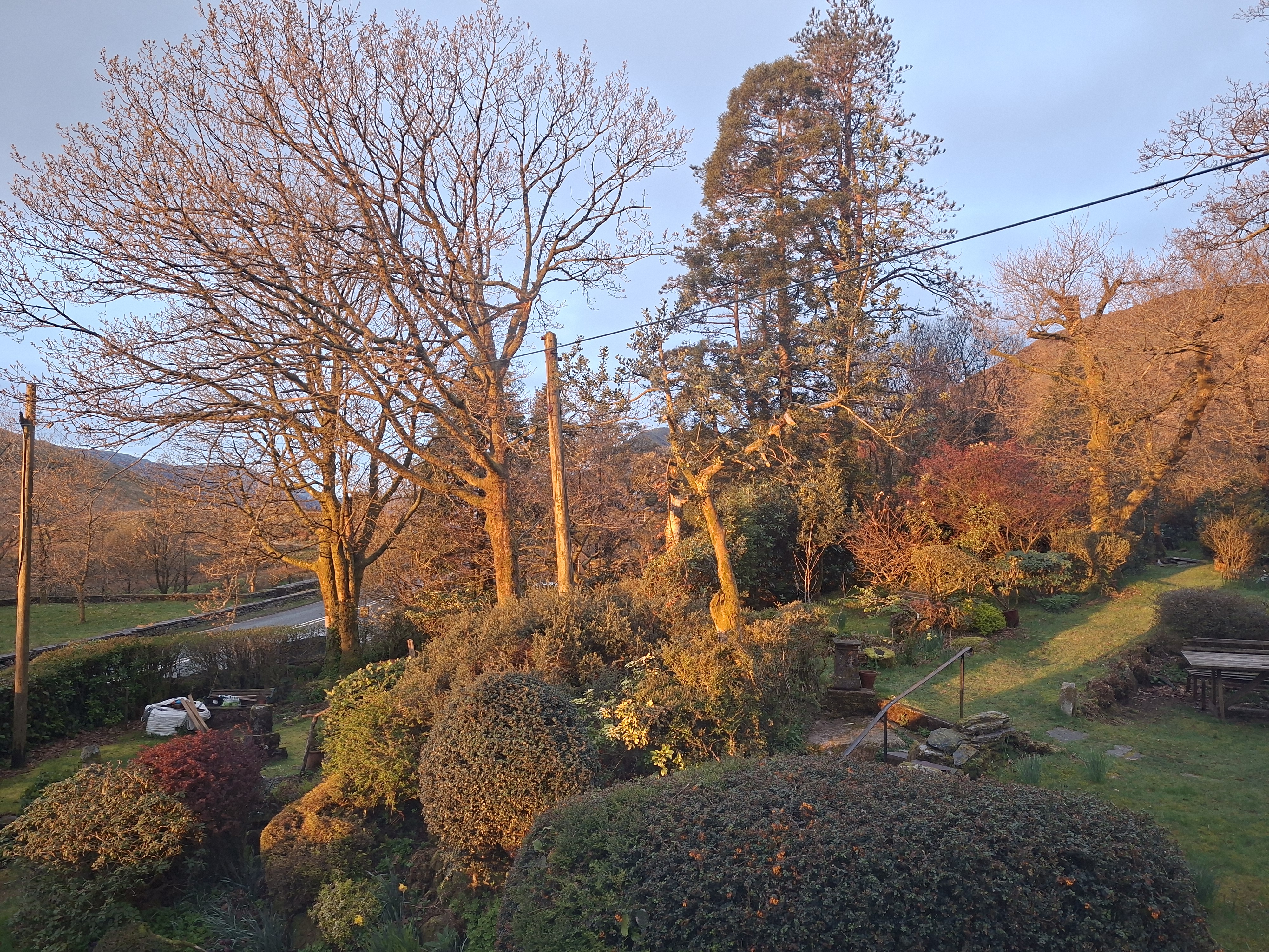 A photo taken on the Samsung Galaxy A57 showing sunrise on a garden.