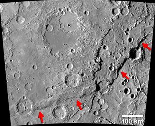 The Enterprise Rupes on Mercury (identified by arrows) is the largest lobate fault scarp on Mercury. It is 621 miles long (1,000 kilometers) and rises 1.8 miles (3 km) above the Rembrandt basin, one of the largest impact craters on Mercury.