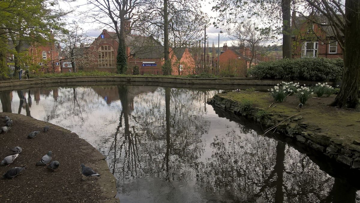 Lumia 640 rear camera test