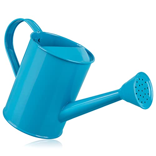 Watering Can for Kids - Play Time or Practical Use - Childs Metal Watering Can - Small Water Can for Boys and Girls, Perfect for Easter Gift -32 Oz (blue)