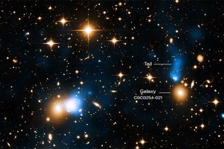 Inside Zwicky 8338 cluster, x-ray tail