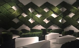 Hedge garden at the Mademoiselle Privé exhibition featuring asymmetrical white blocks, hedges and criss-cross hedge art on the wall
