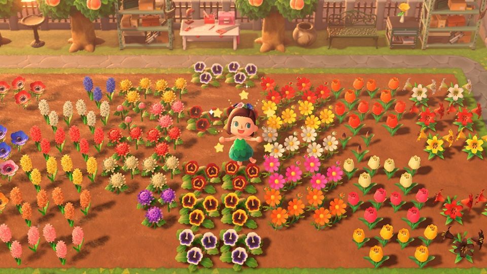 How To Create Hybrid Flowers In Animal Crossing New Horizons