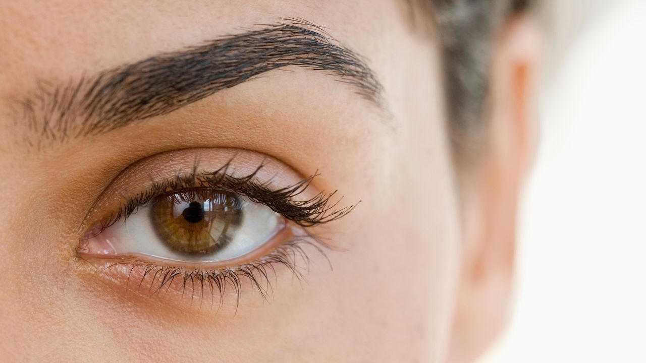 Close up of woman&#039;s eye and eyebrow