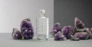 X muse vodka bottle with purple stones