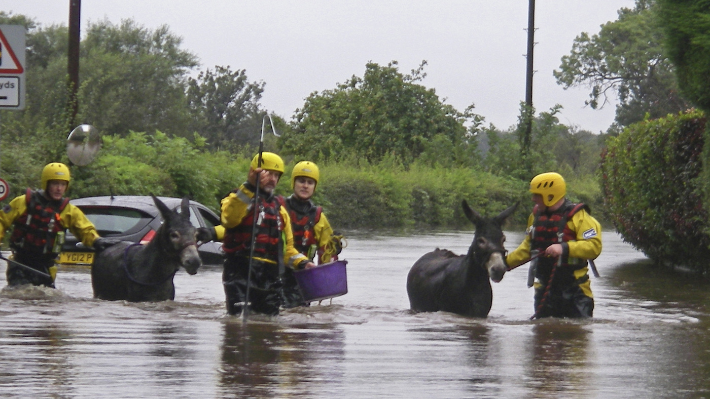 RSPCA-flood.jpg