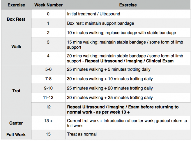 check ligament injury