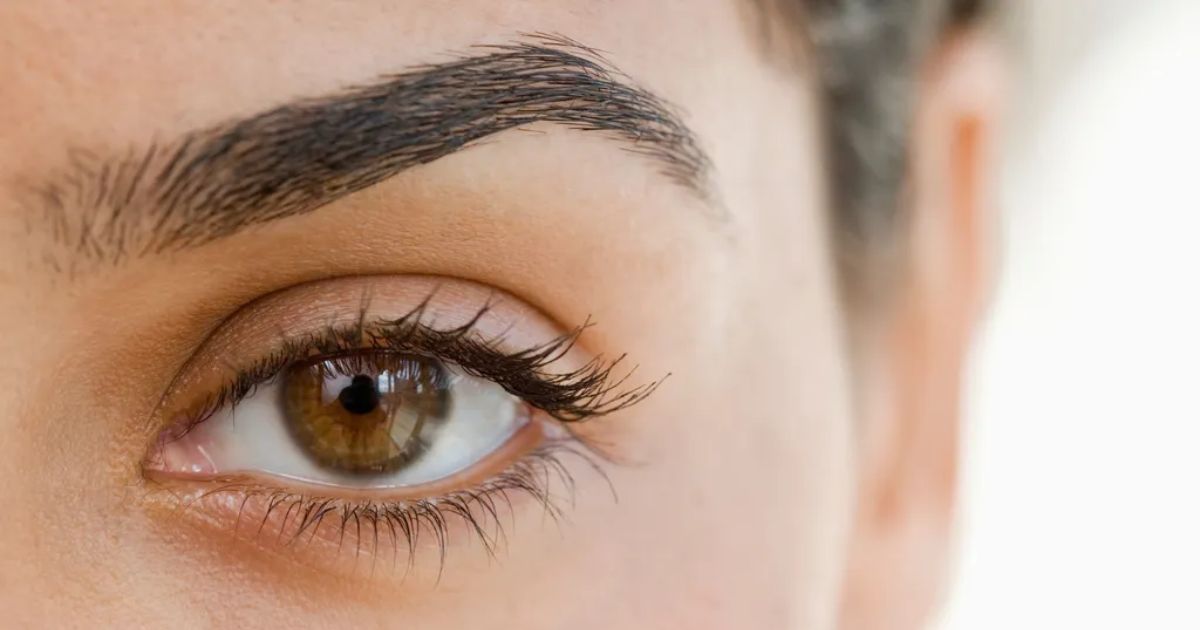 Je viens de recevoir une « coloration pour sourcils » pour des sourcils plus fournis. Voici ce que vous devez savoir avant de l'essayer vous-même.