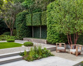 outdoor seating area and steps up to terrace lines with topiary trees in city garden