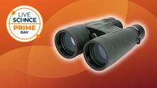 Celestron Nature DX 12x56 binoculars on a red background