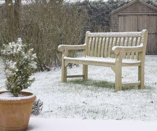 A teak wooden bench on a snow-covered lawn in a UK garden. There is snow falling in the picture and a wooden shed in the background