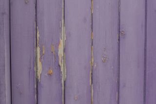 A weathered purple fence