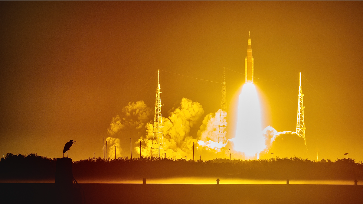 launch of artemis 1 with bird silhouetted in front of dramatic orange sky