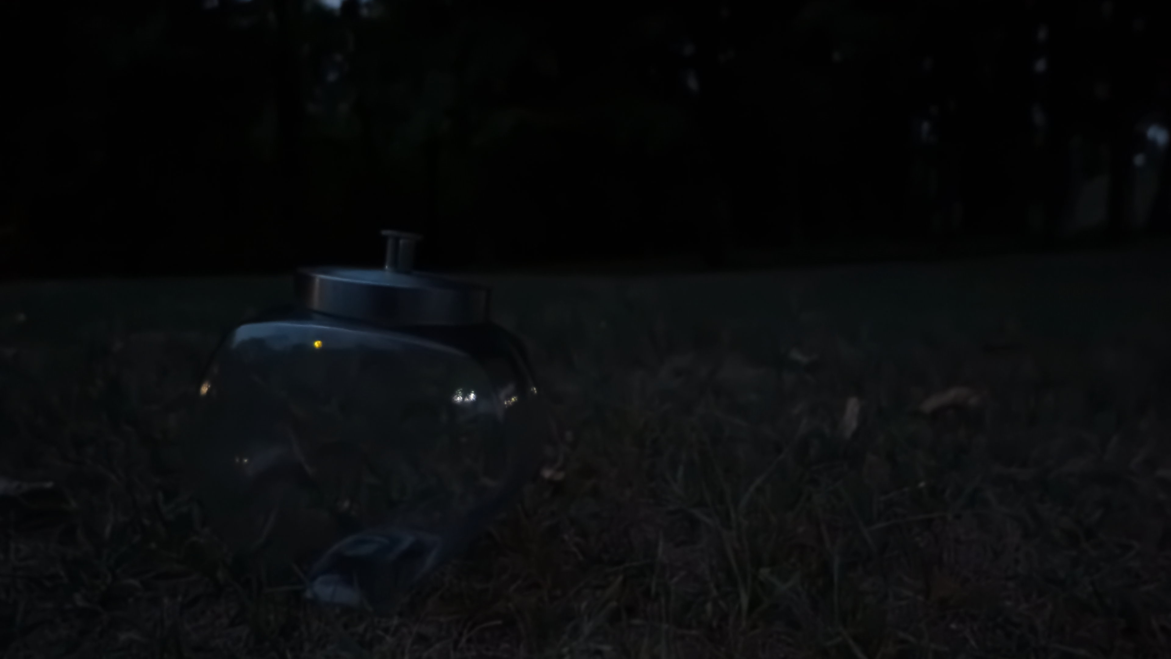 A screen grab from 4K footage showing ISO 1600