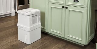 Midea dehumidifier in a green kitchen