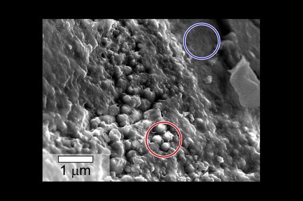 Mars Meteorite Yamato 000593 Spheres