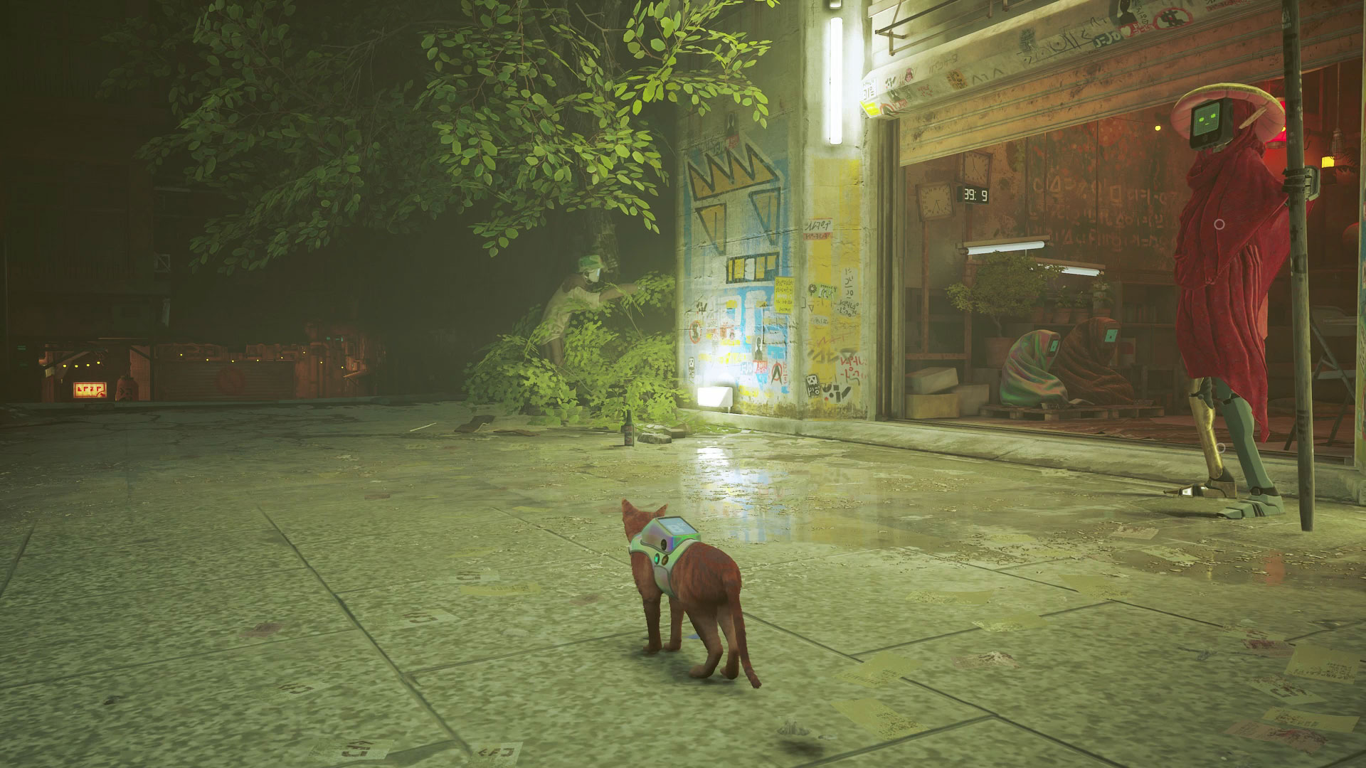 Stray energy drink locations