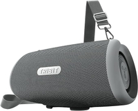 Tribit Stormbox Lava in gray