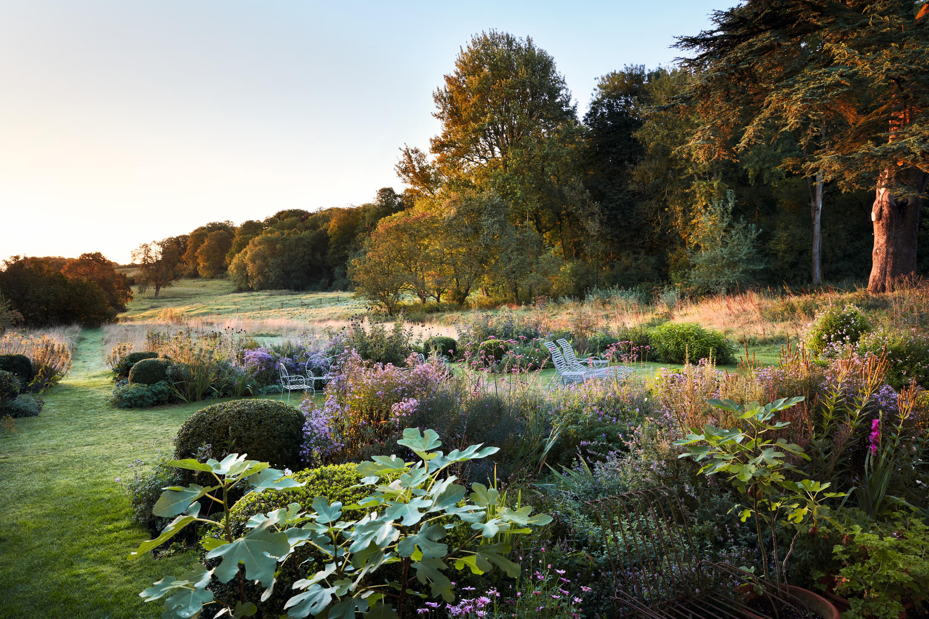 The garden at Salthrop Manor, Wiltshire