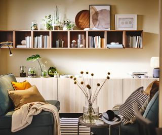 Living room with throws and trinkets on a bookshelf.