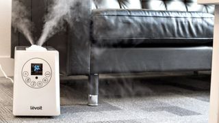 Best humidifier: Levoit