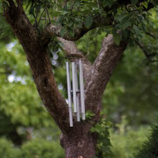 Wind chimes attached to a tree in a garden