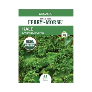 Packet of kale seeds