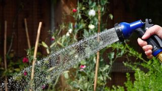 Watering plants outdoors