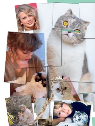 Taylor swift collage with looklikes for Identity Issue 2023