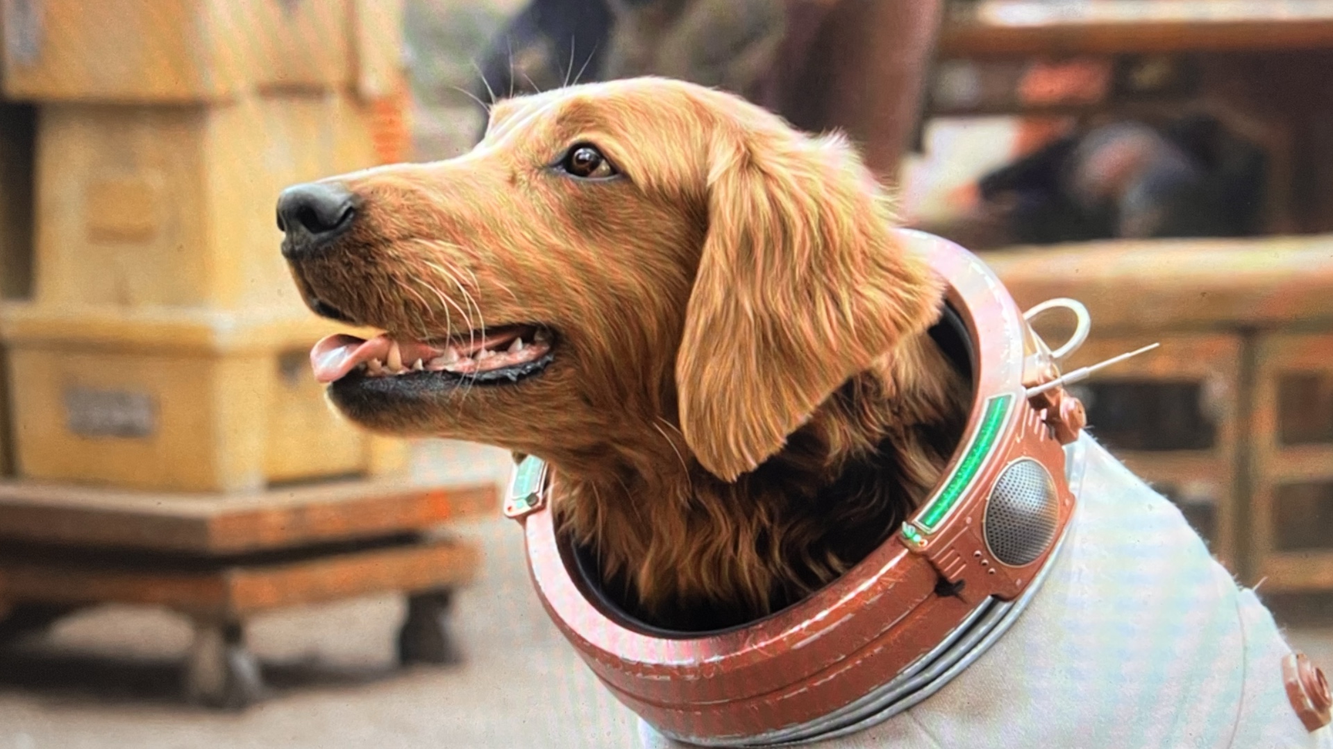 Cosmo The Dog Guardians Of The Galaxy