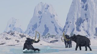 A male woolly mammoth has just fallen through the ice of a frozen lake.