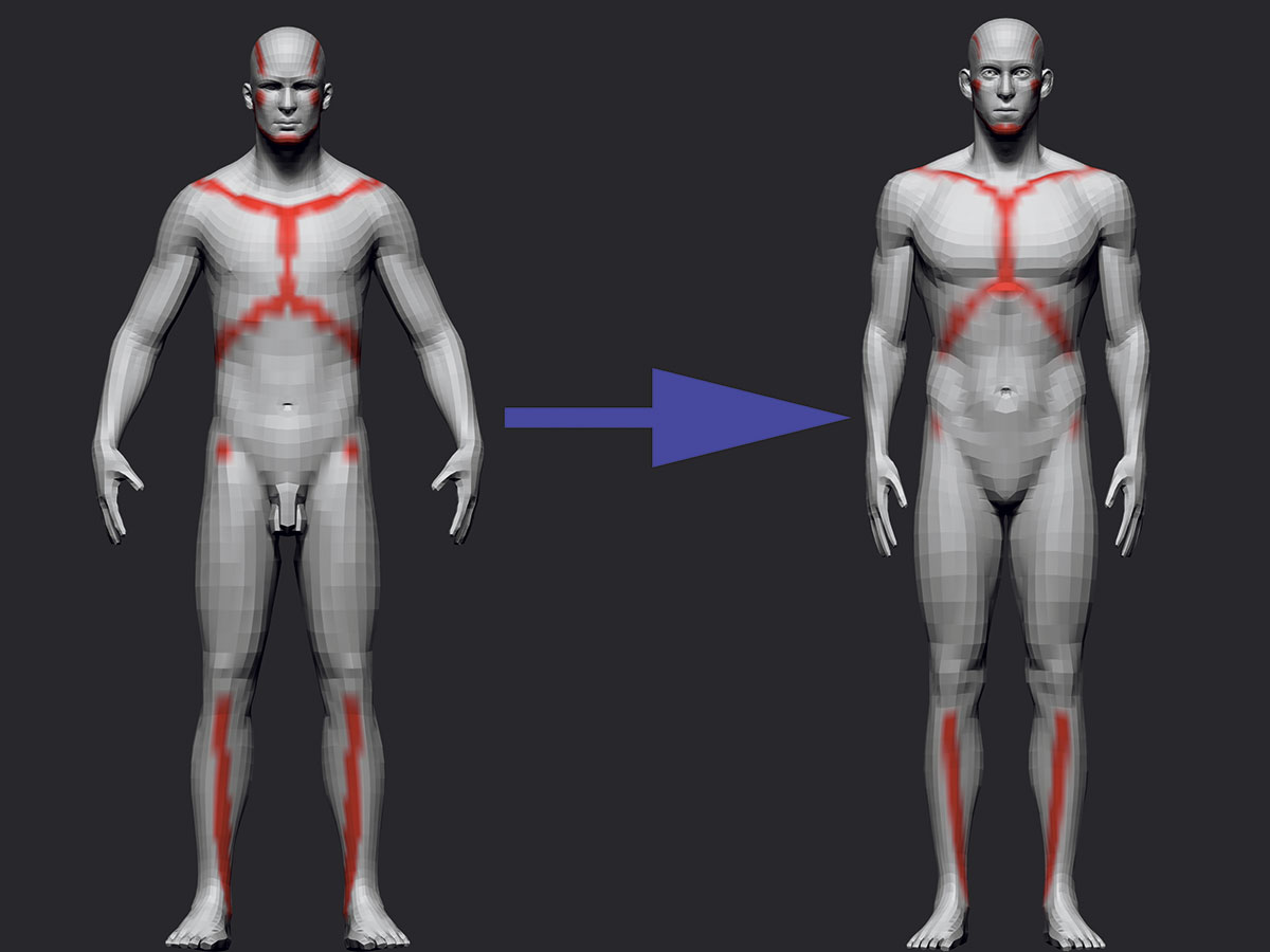 Paint skeleton landmarks to keep track of shapes and proportions