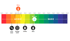 00000a088-Wine_pH_scale.png