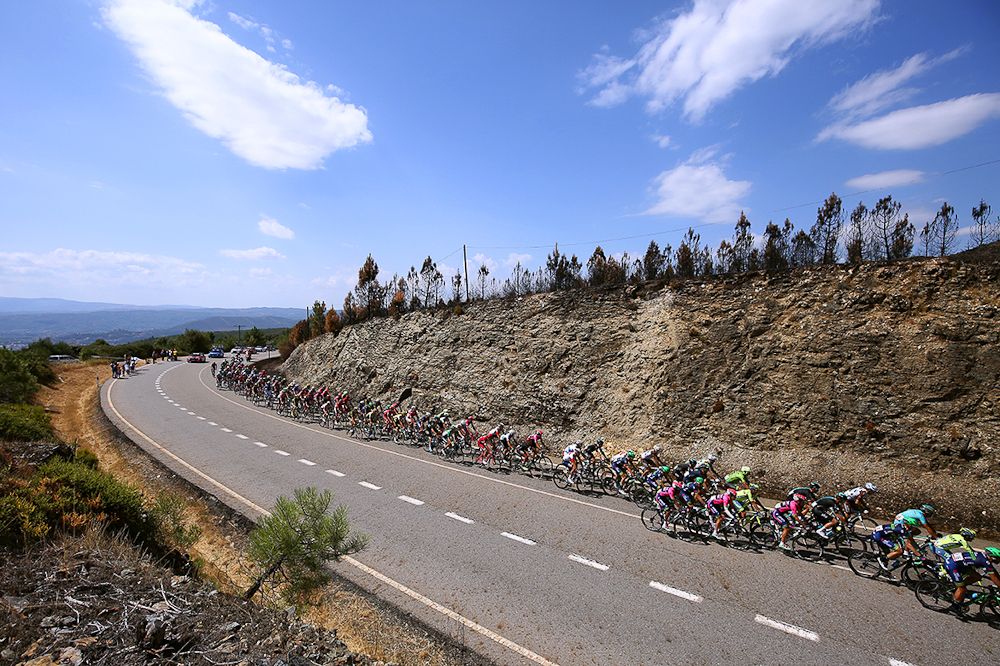 The peloton in action during stage 7
