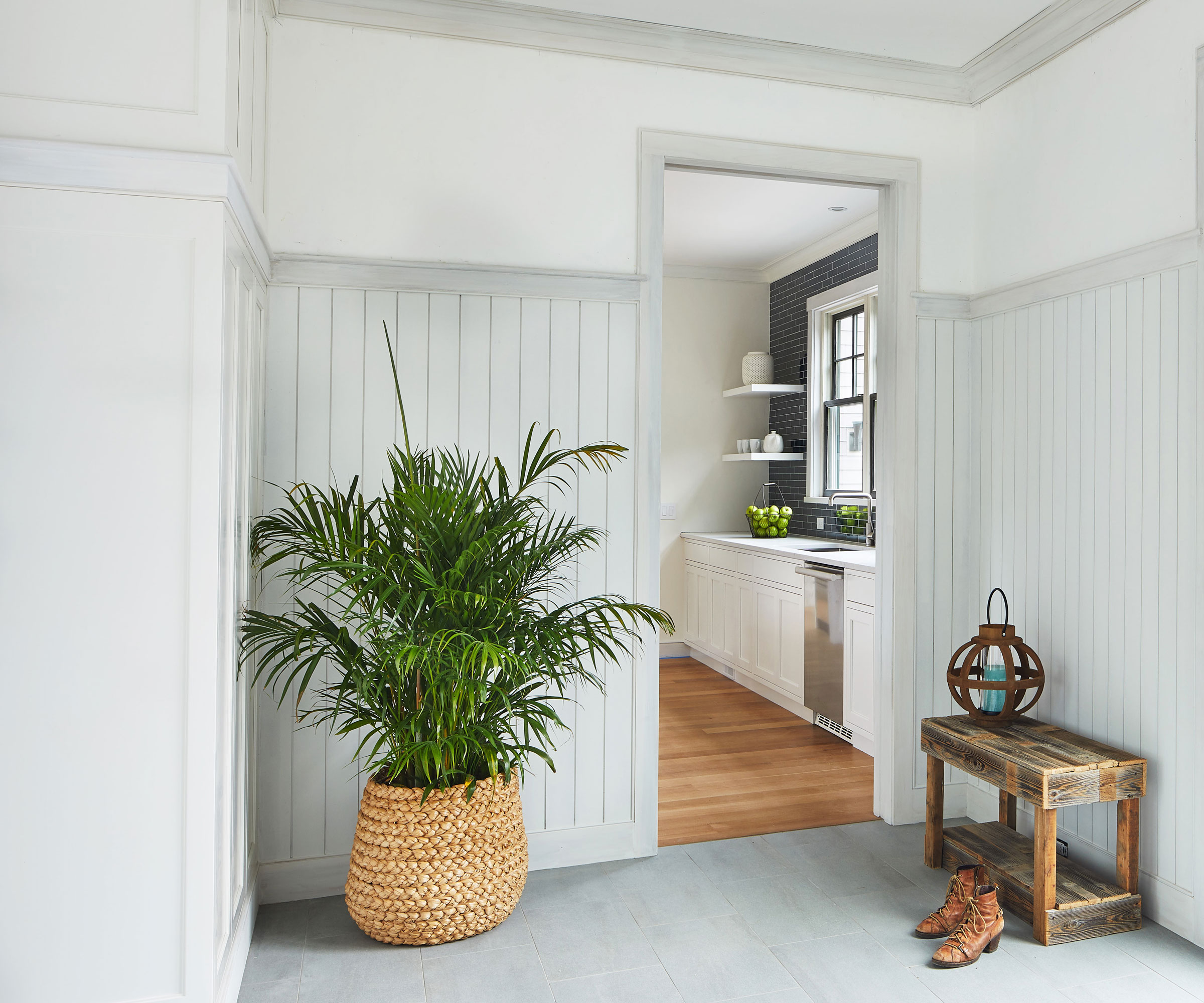 tall palm plant in basket planter in modern mudroom with views to kitchen