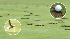 Unrepaired divots in golf 
