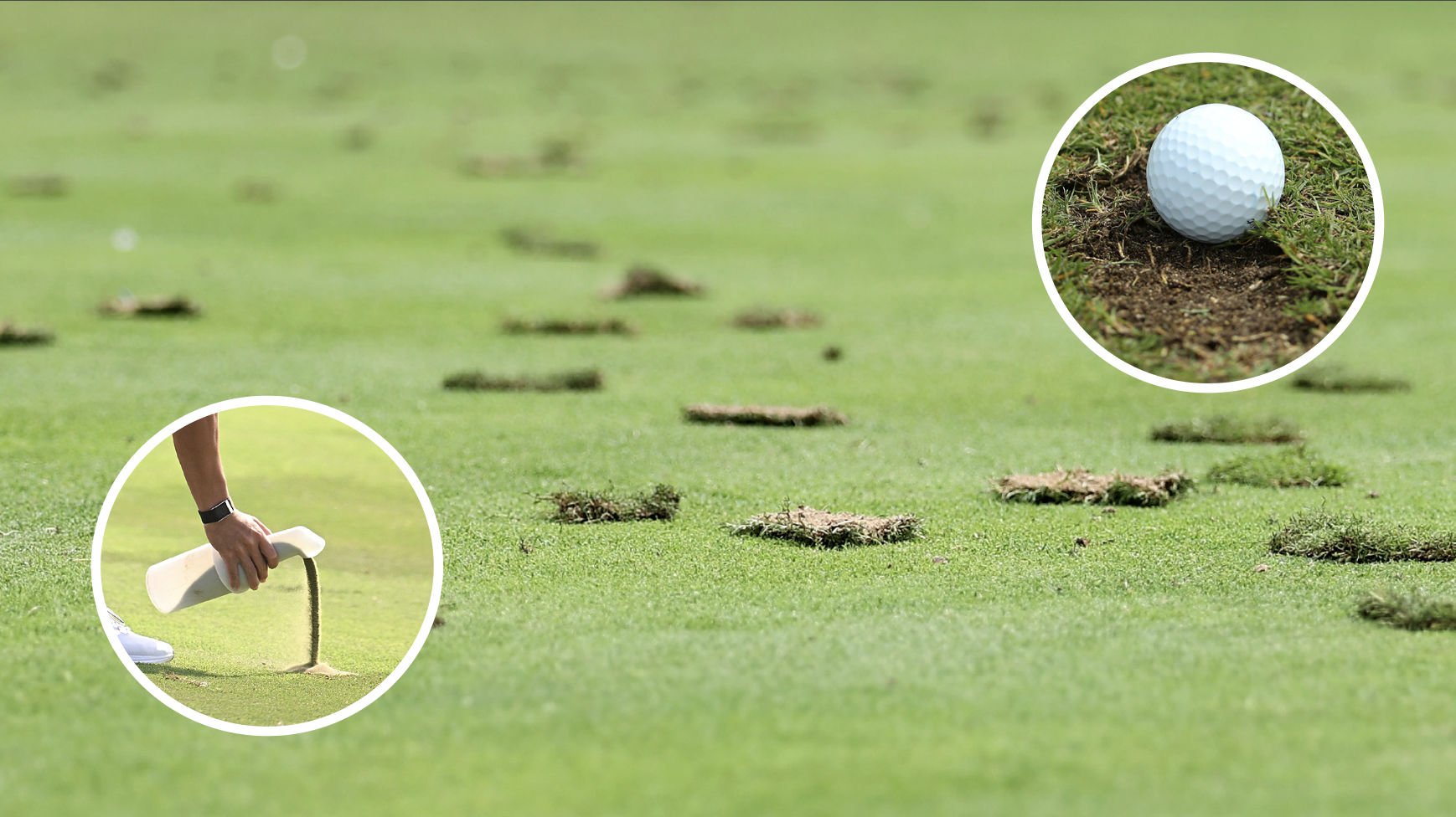 Unrepaired divots in golf 