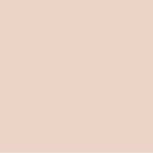 Farrow &amp;amp; Ball Pink Ground