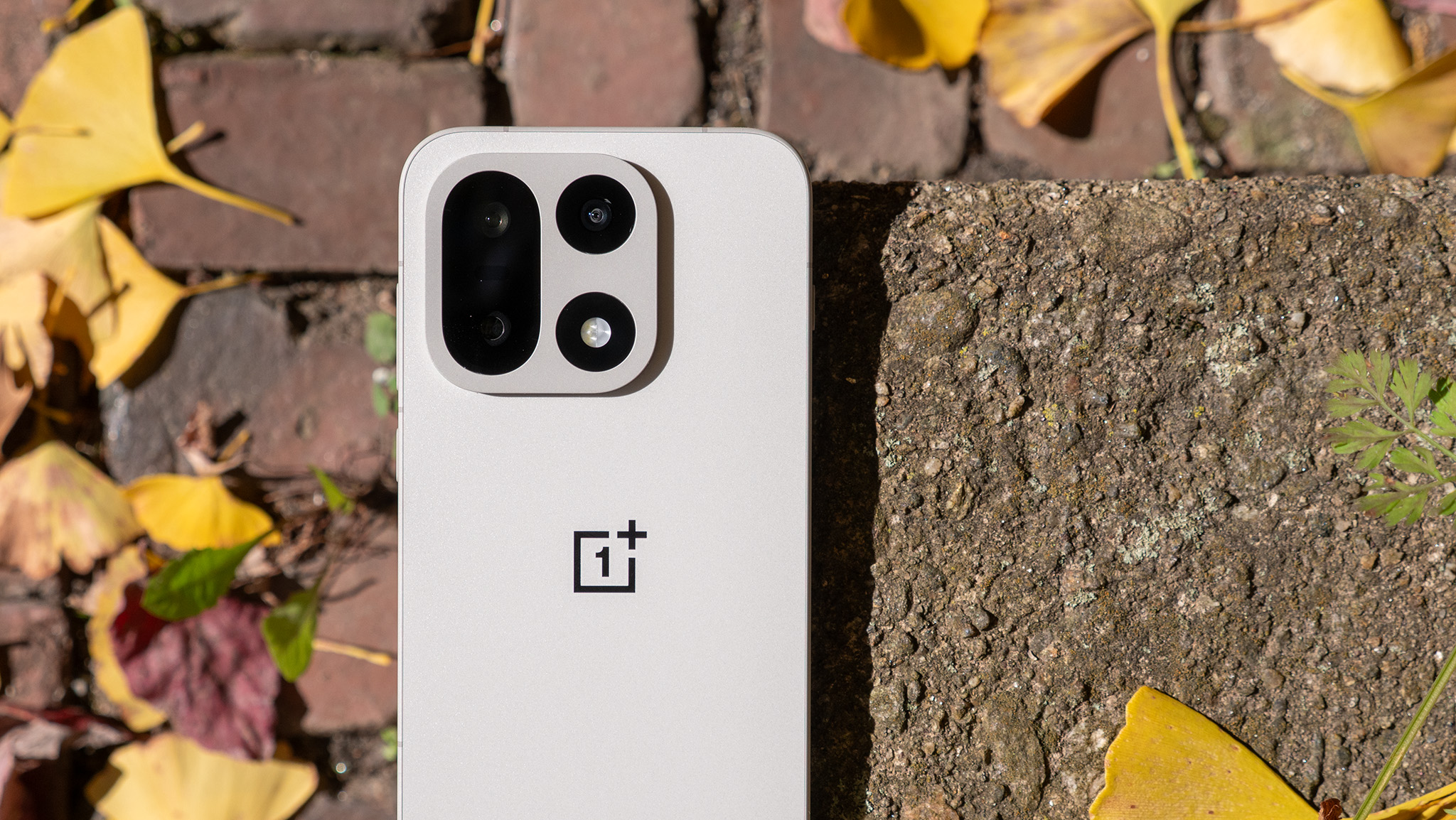 The squared-off camera module on the Sand Storm OnePlus 15