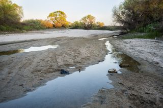 San joaquin river drying up