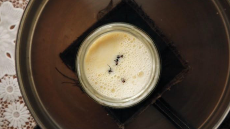 a glass jar filled with milk and four ants sits on a table