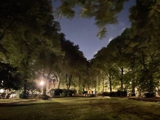 Line of trees at night, lit up by artificial lights