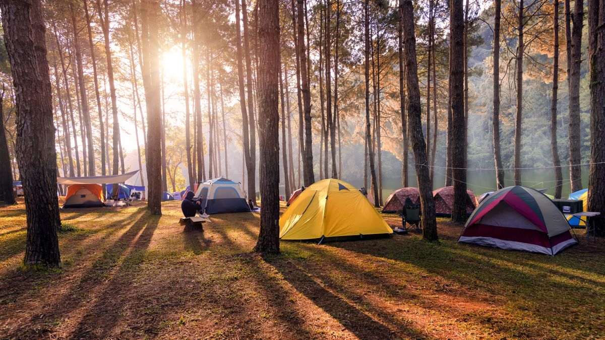 T3's ultimate guide to camping | T3 T3's ultimate guide to camping | T3