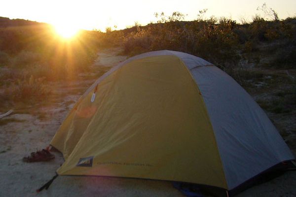 camping resets internal clock