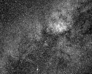 More than 200,000 stars captured in one small section of the sky by NASA's TESS mission.